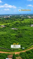 Filin Dawa a AOA Gardens, Makun City - 500 sqm - 3