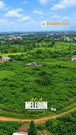 Filin Dawa a AOA Gardens, Makun City - 500 sqm - 5