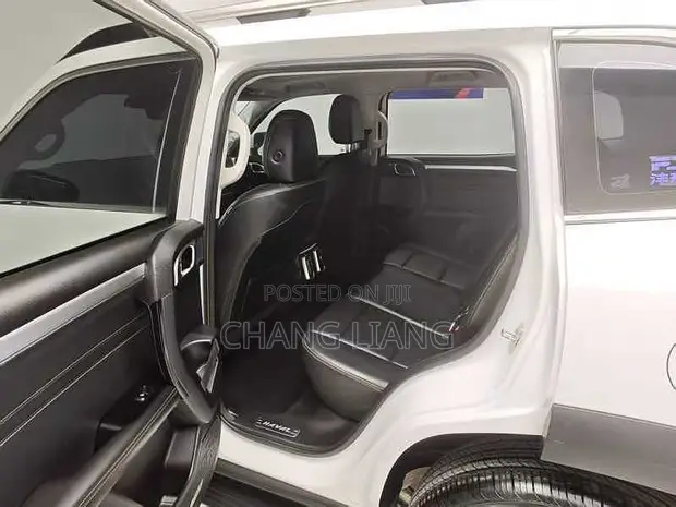 Haval Big Dog 2021 White - 1