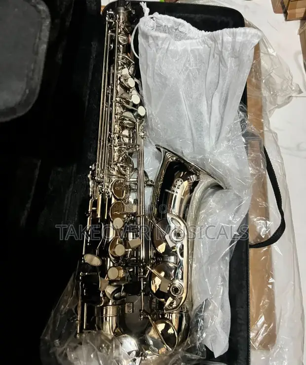 Silver Alto Saxophone - 1
