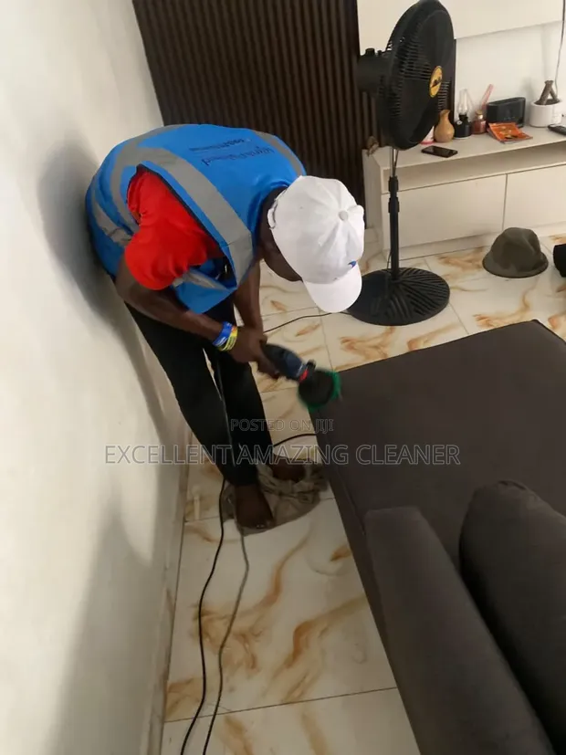 Professional Sofa & Carpet Cleaning Services - 1