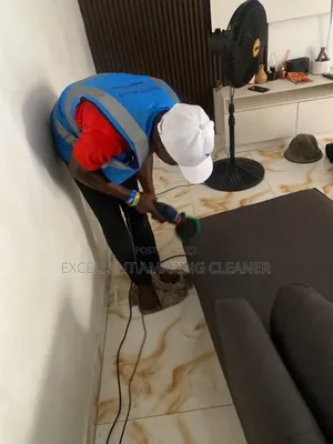 Professional Sofa & Carpet Cleaning Services