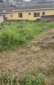 Kashi ɗaya na fili da C of O a yankin Aboru - 1