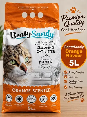BentySandy Orange Flavour Cat Litter 5L