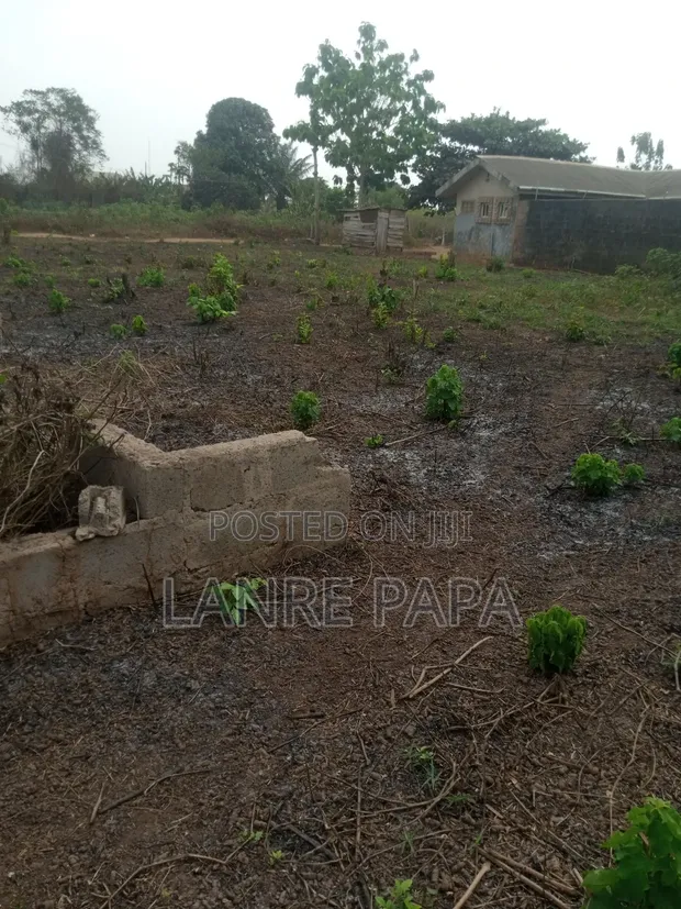 Filin Dadi a Ilefon, Ijebu Ode - 1