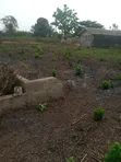 Filin Dadi a Ilefon, Ijebu Ode - 1
