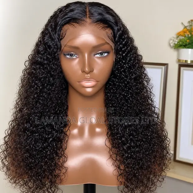 Curly Middle Part HD Lace Front Human Hair Wig - 1