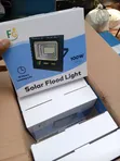 100W FG Solar Floodlight - 2