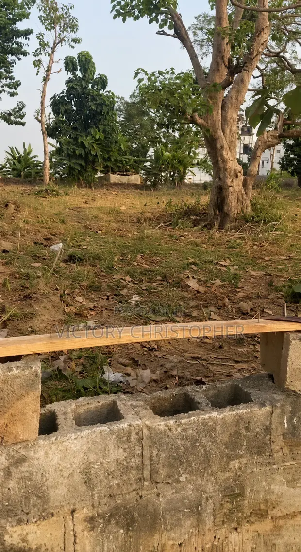 Filin Zama 1326sqm a Wuye - 1