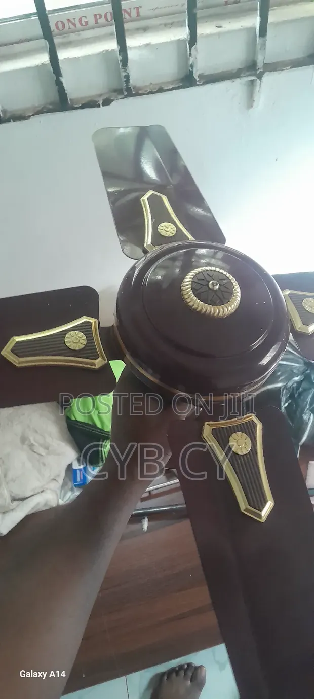 Ox Fan Mai Kyau da Amfani - 1