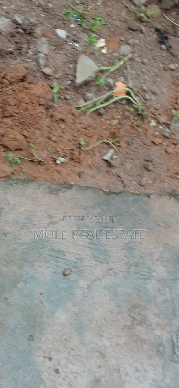 4200sqm (7 Plots) Joint Venture Land, Greenwood Estate, Sangotedo - 1