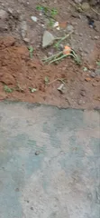 4200sqm (7 Plots) Joint Venture Land, Greenwood Estate, Sangotedo - 1