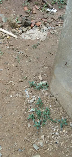 4200sqm (7 Plots) Haɗin Gwiwa Ƙasa, Greenwood Estate, Sangotedo
