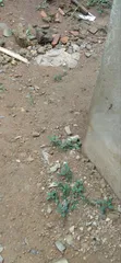 4200sqm (7 Plots) Joint Venture Land, Greenwood Estate, Sangotedo - 2