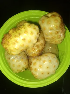 Fresh Noni Fruit