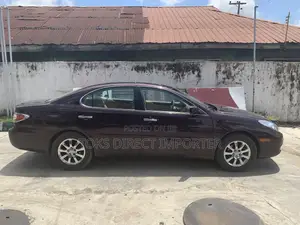 Lexus ES 300 2003 Brown