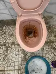 Post Construction Deep Cleaning by Béni Royal Hands - 3