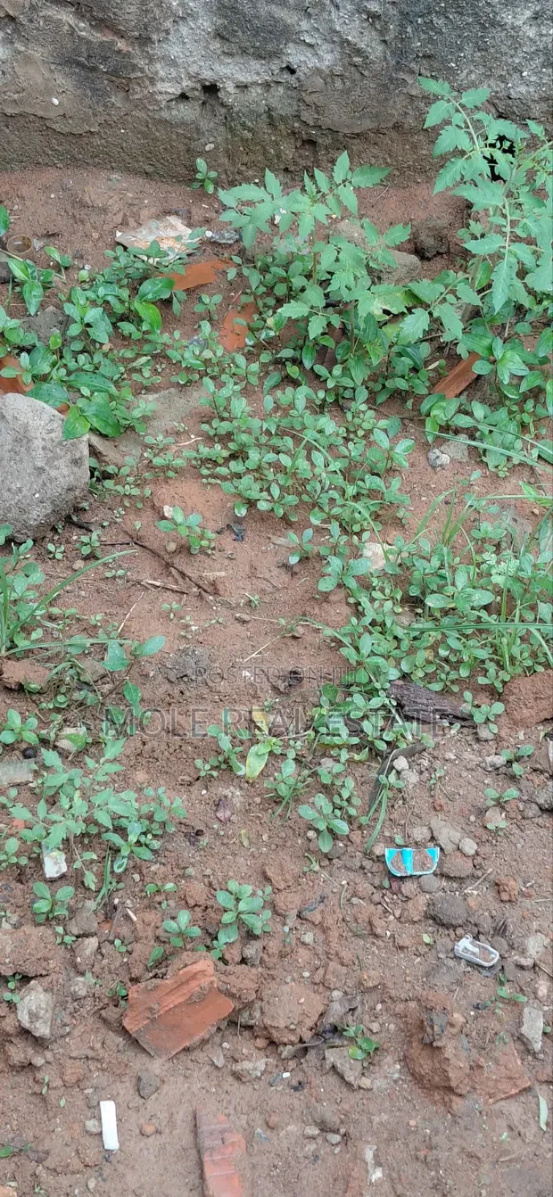 1,030sqm Joint Venture Land, Victoria Island - 1