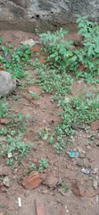1,030sqm Joint Venture Land, Victoria Island - 1