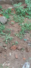 1,030sqm Joint Venture Land, Victoria Island - 2