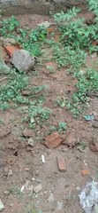 1,030sqm Joint Venture Land, Victoria Island - 3
