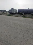 Dangote & Bua Cement Distributor - 2