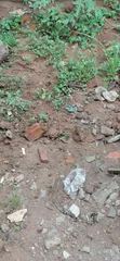 3,900sqm Joint Venture Land, Glover Road Old Ikoyi - 1