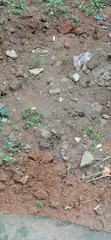 3,900sqm Joint Venture Land, Glover Road Old Ikoyi - 2