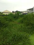 Filin Sukoti 1520 sqm da aka yi wa katanga don siyarwa a Lekki Scheme 2 - 1
