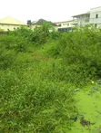 Filin Sukoti 1520 sqm da aka yi wa katanga don siyarwa a Lekki Scheme 2 - 2