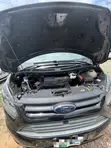 Ford Transit Bas 2020 - 1