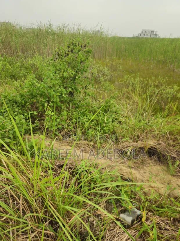 Residential Land for Sale - Shoreline Estate, Ikoyi - 1