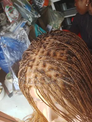 Healthy Hair Human Hair Braid