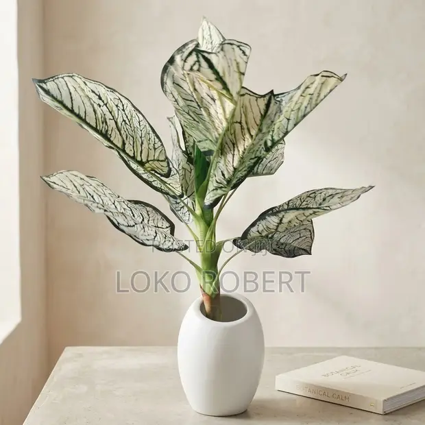 Gaskiyar Aglaonema/Caladium Artificial Plant a White Pot - 1