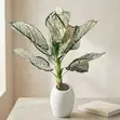 Gaskiyar Aglaonema/Caladium Artificial Plant a White Pot - 1