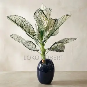 Gaskiyar Aglaonema/Caladium Artificial Plant a White Pot