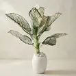 Gaskiyar Aglaonema/Caladium Artificial Plant a White Pot - 3