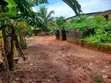 Filin Kasuwanci/Zama Don Siyarwa - Asaba - 3