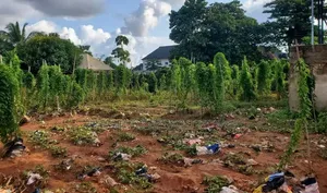 Filin Zama/Kasuwanci Don Siyarwa - Asaba GRA