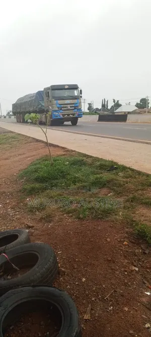 Major Cement Distributor: Dangote & Bua