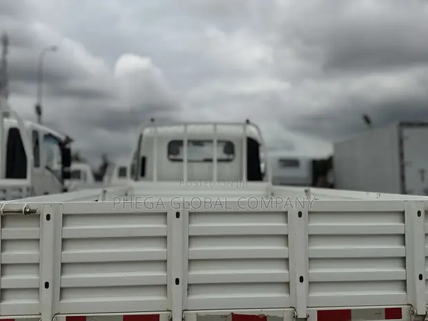 Brand New 2025 T-King 4-Ton Dropside Truck - 1