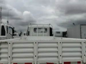 Brand New 2025 T-King 4-Ton Dropside Truck