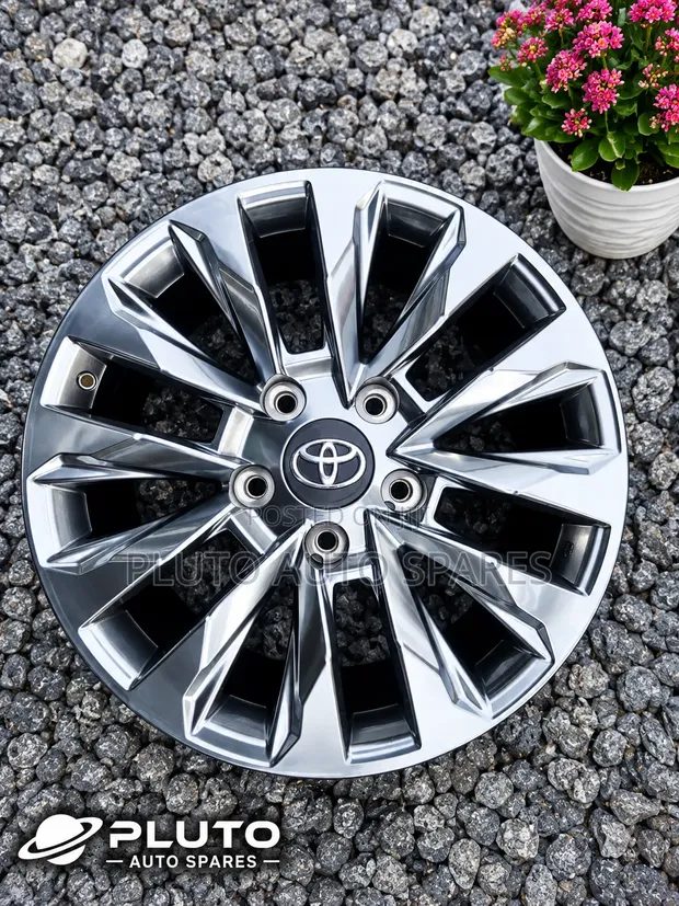 Toyota Land Cruiser 20" Alloy Rims - 1