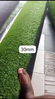 Artificial Carpet Grass - 30mm - 2