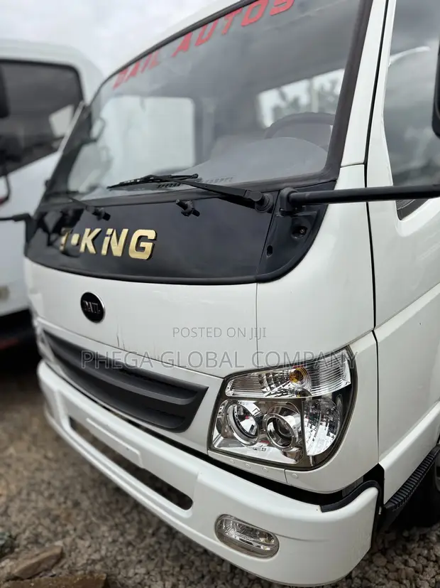 T-King 5 Ton Dump Truck 2025 - 1