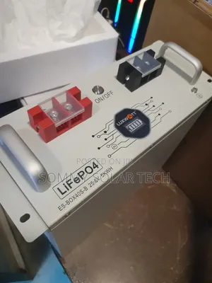Luxwatt Lithium Ion Baturi 5kWh 24V