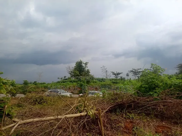 2 Plots of Land for Sale - Benin-Lagos Road, Isiuwa - 1