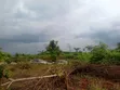 2 Plot na Ƙasa don Siyarwa - Titin Benin-Lagos, Isiuwa - 1