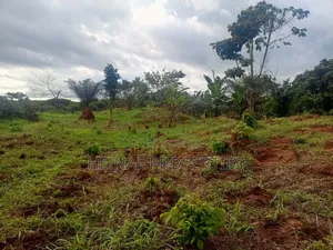 2 Plots of Land for Sale - Benin-Lagos Road, Isiuwa