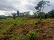 2 Plot na Ƙasa don Siyarwa - Titin Benin-Lagos, Isiuwa - 3